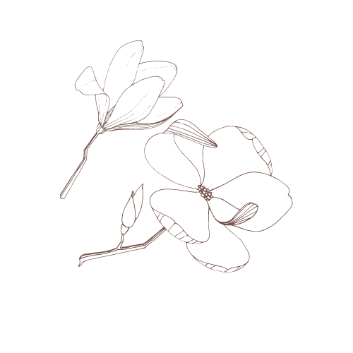 Picture of a beautiful flower graphic 1