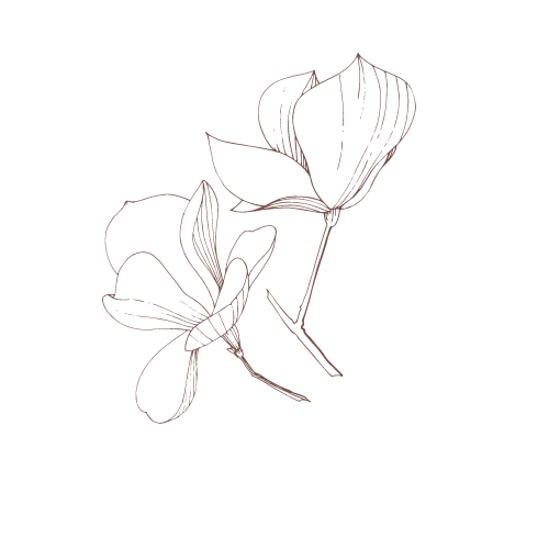 Picture of flower graphic 2